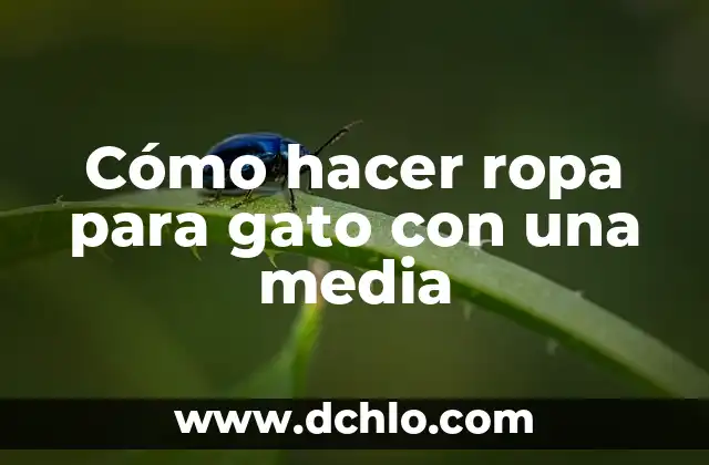 Homónimos con Significado de Media 7 Cómo hacer ropa para gato con una media