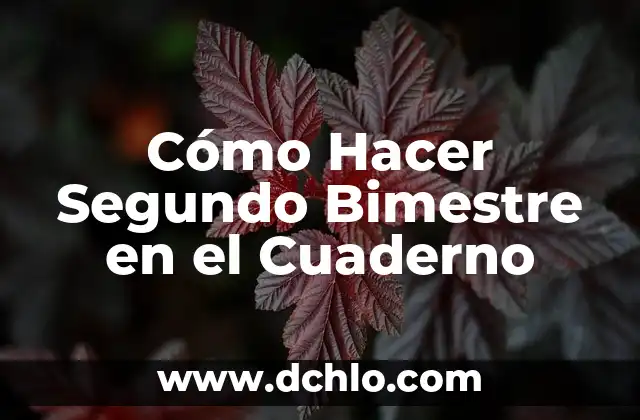 Significado de segundo grado de afinidad 6 Cómo Hacer Segundo Bimestre en el Cuaderno