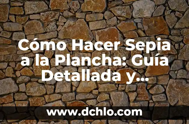 Cómo Planchar el Pelo Sin Plancha: Consejos y Técnicas Alternativas 3 Cómo Hacer Sepia a la Plancha: Guía Detallada y Práctica