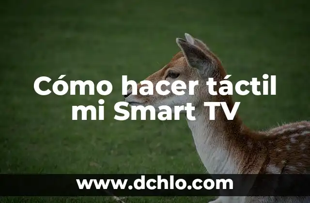 C贸mo hacer que una TV sea Smart TV 7 C贸mo hacer t谩ctil mi Smart TV