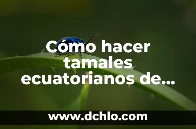 Cómo hacer alza basura con aceite sao de 5 litros 3 Cómo hacer tamales ecuatorianos de pollo
