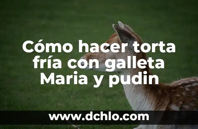 La Inmaculada Pureza de María: Un Concepto Fundamental 7 Cómo hacer torta fría con galleta Maria y pudin