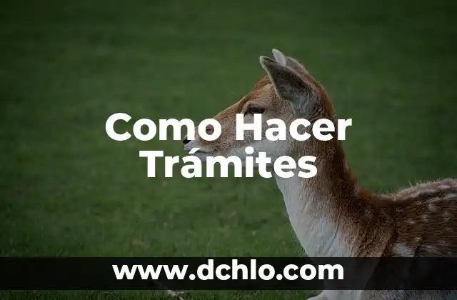Como hacer trámites de DNI por internet 5 Como Hacer Trámites