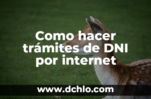 Como hacer los trámites para jubilarse 4 Como hacer trámites de DNI por internet