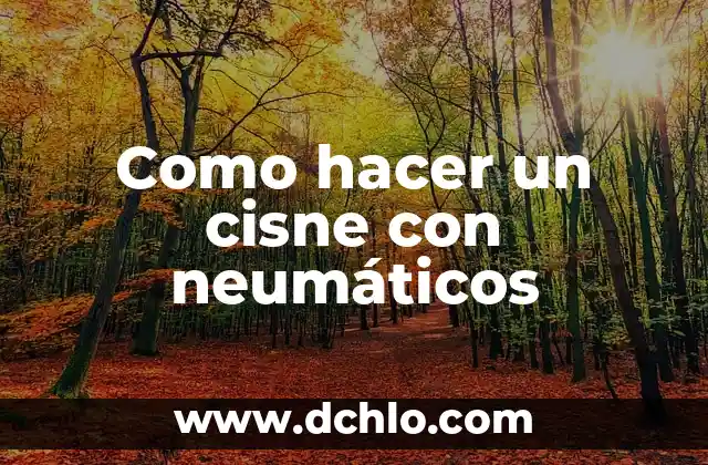 Tracción de la llanta significado: Entendiendo la adherencia en los neumáticos 3 Como hacer un cisne con neumáticos
