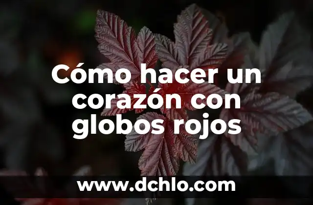 Como hacer un corazón en computadora 8 Cómo hacer un corazón con globos rojos