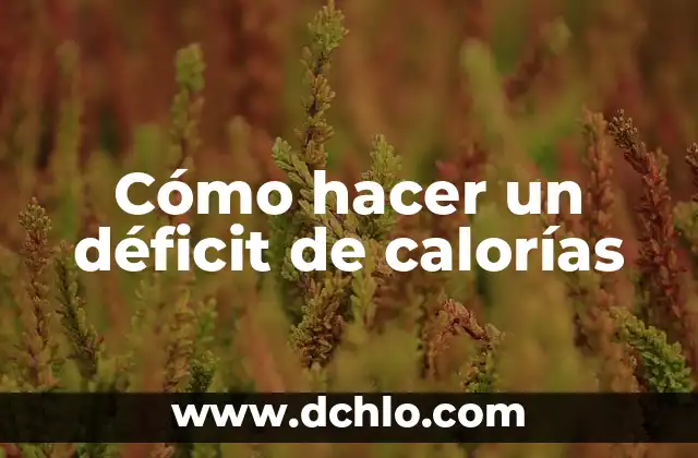 Cuántas Calorías Se Queman Andando Una Hora: Guía Completa 4 Cómo hacer un déficit de calorías