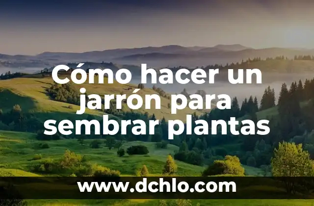 El Significado de Sembrar en Horticultura y Silvicultura 4 Cómo hacer un jarrón para sembrar plantas