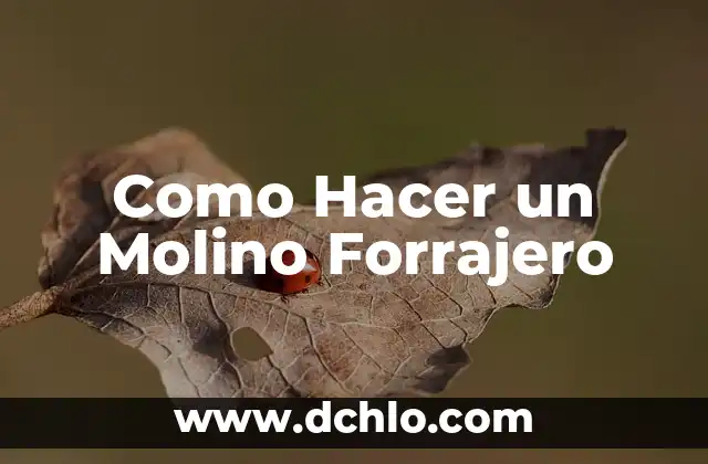 Agua de otro molino significado 3 Como Hacer un Molino Forrajero