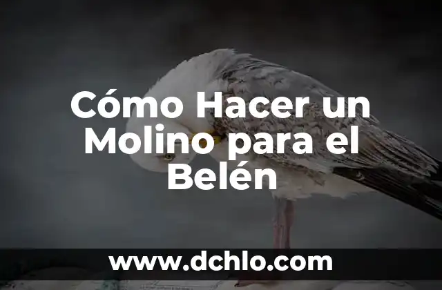 Como Hacer un Molino Forrajero 4 Cómo Hacer un Molino para el Belén