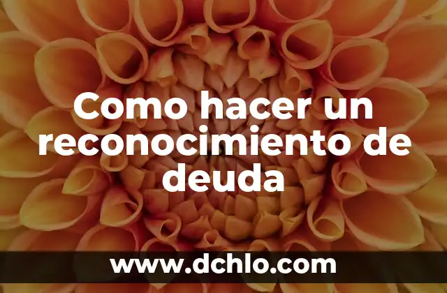 ¿Qué Es el Reconocimiento? 8 Como hacer un reconocimiento de deuda