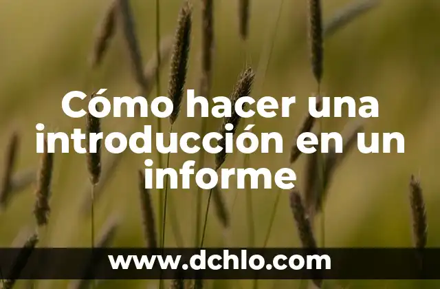 Introducción al significado del valor de verdad 5 Cómo hacer una introducción en un informe
