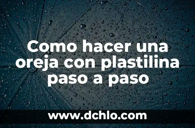 Como hacer un estanque con cascada paso a paso 6 Como hacer una oreja con plastilina paso a paso