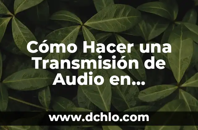 Cómo Hacer una Transmisión de Audio en Facebook