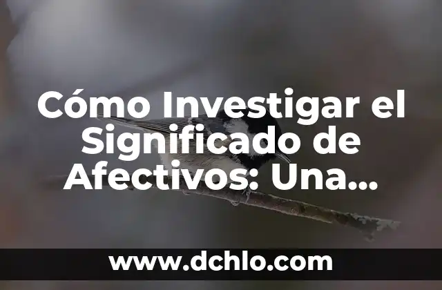 Investigar el significado de ahuehuete: Historia y simbolismo de los cipreses mexicanos 8 Cómo Investigar el Significado de Afectivos: Una Guía Completa