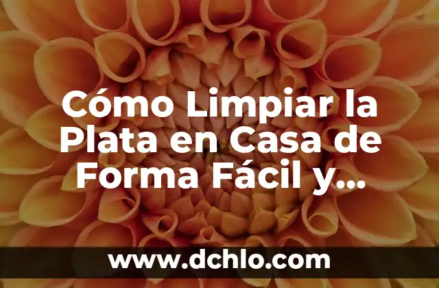 ¿Qué comer para parar la diarrea rápidamente y de manera efectiva? 5 Cómo Limpiar la Plata en Casa de Forma Fácil y Efectiva