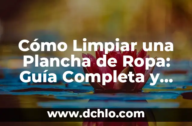Cómo Planchar el Pelo Sin Plancha: Consejos y Técnicas Alternativas 8 Cómo Limpiar una Plancha de Ropa: Guía Completa y Detallada