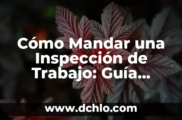Cómo Mandar una Carta por Correo: Guía Detallada y Completa 7 Cómo Mandar una Inspección de Trabajo: Guía Detallada y Práctica