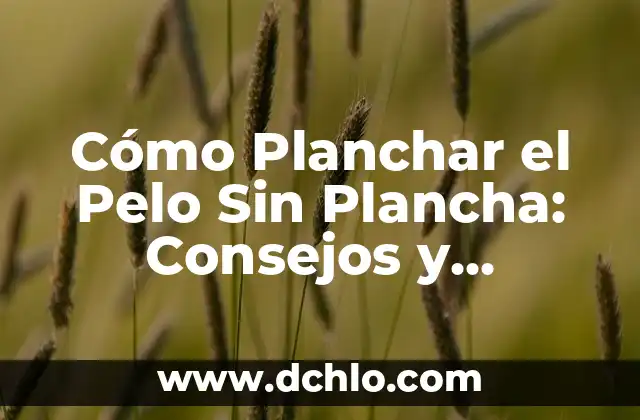 Cómo se Hacen las Zamburiñas a la Plancha: Receta y Técnicas 8 Cómo Planchar el Pelo Sin Plancha: Consejos y Técnicas Alternativas