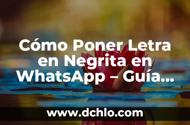 Cómo Poner Mi Cuenta Privada en Facebook: Una Guía Detallada 8 Cómo Poner Letra en Negrita en WhatsApp – Guía Práctica