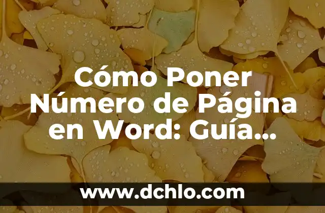 Cómo Poner Mi Cuenta Privada en Facebook: Una Guía Detallada 4 Cómo Poner Número de Página en Word: Guía Definitiva