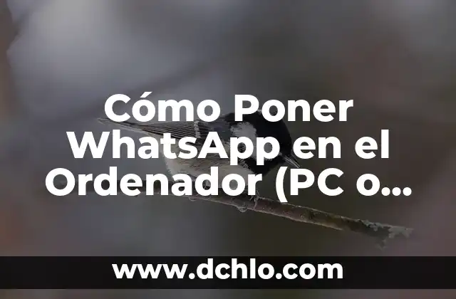 Cómo Poner Mi Cuenta Privada en Facebook: Una Guía Detallada 6 Cómo Poner WhatsApp en el Ordenador (PC o Mac) de Forma Segura y Fácil
