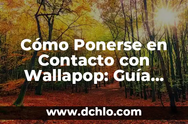 Significado de Ó y O: La Guía Definitiva 7 Cómo Ponerse en Contacto con Wallapop: Guía Definitiva