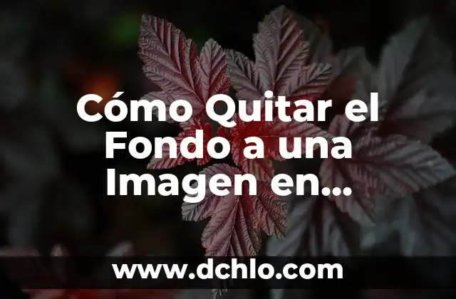 Cómo Buscar una Imagen en Internet de Forma Eficiente 5 Cómo Quitar el Fondo a una Imagen en Photoshop y Otros Programas
