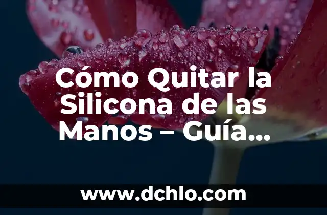¿Qué comer para parar la diarrea rápidamente y de manera efectiva? 6 Cómo Quitar la Silicona de las Manos – Guía Práctica y Efectiva