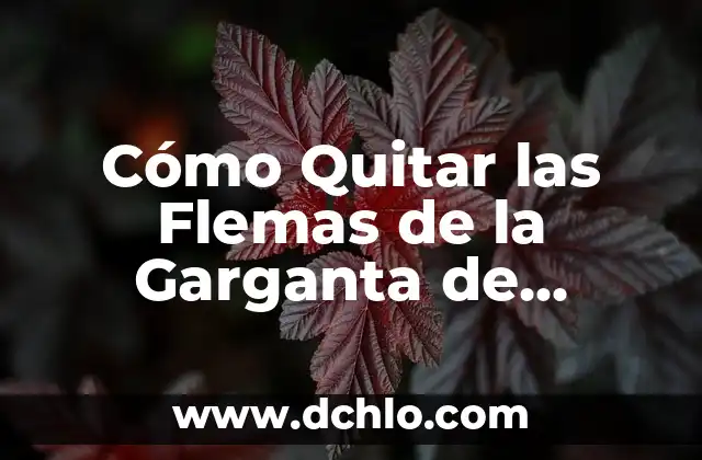 Cómo Eliminar los Mocos de la Garganta de Forma Natural y Efectiva 4 Cómo Quitar las Flemas de la Garganta de Forma Natural y Segura