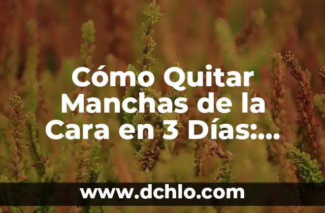 Cómo Quitar Manchas de la Plancha: Guía Definitiva 8 Cómo Quitar Manchas de la Cara en 3 Días: Soluciones Efectivas