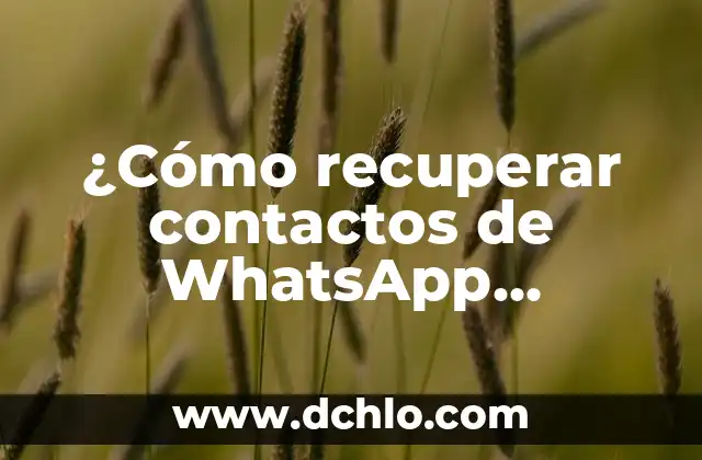 Cómo crear grupos de contactos en Gmail: Guía práctica y detallada 5 ¿Cómo recuperar contactos de WhatsApp eliminados?