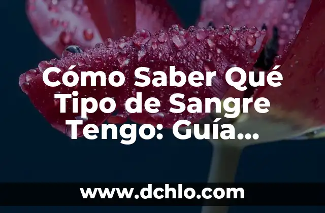 Soñar con gatos que te atacan: ¿Qué significa este tipo de sueño? 4 Cómo Saber Qué Tipo de Sangre Tengo: Guía Completas y Fácil