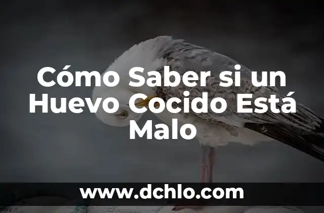 ¿Es cierto que el huevo es malo para la vesícula? 5 Cómo Saber si un Huevo Cocido Está Malo