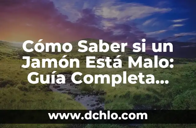 Cómo Saber si un Jamón Está Malo: Guía Completa para Consumidores
