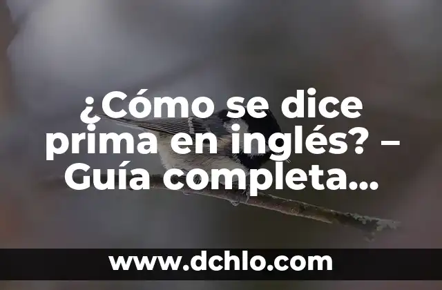 Como hacer el cálculo de la prima 7 ¿Cómo se dice prima en inglés? – Guía completa para aprender vocabulario