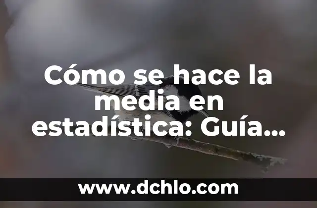 Valor Estadística Significativa de P 6 Cómo se hace la media en estadística: Guía detallada y completa