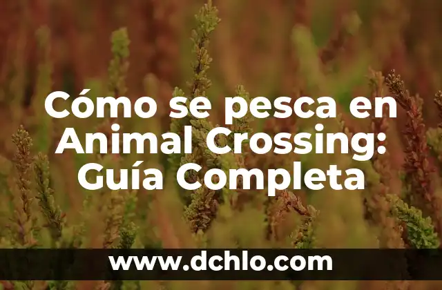 La importancia de la medición de longitudes en topografía: Una guía detallada 4 Cómo se pesca en Animal Crossing: Guía Completa