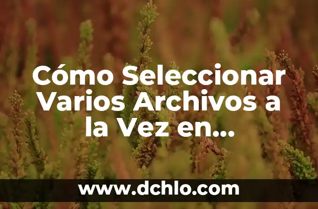 Significado de varios emojis juntos 8 Cómo Seleccionar Varios Archivos a la Vez en Ordendador y Dispositivos Móviles