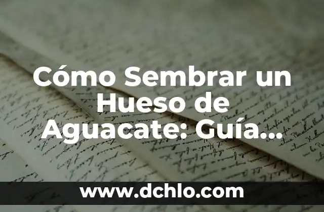 El Significado de Sembrar en Horticultura y Silvicultura 6 Cómo Sembrar un Hueso de Aguacate: Guía Paso a Paso