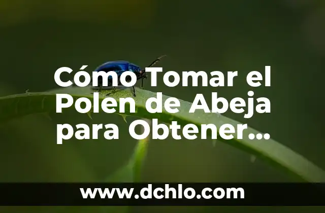 La Vitamina B12 para qué sirve: Descubre sus beneficios y importancia 5 Cómo Tomar el Polen de Abeja para Obtener Beneficios para la Salud