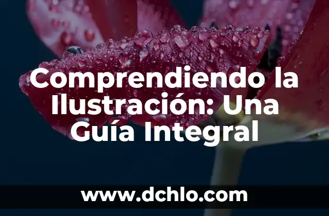 Guía de estilo CSE 8 Comprendiendo la Ilustración: Una Guía Integral