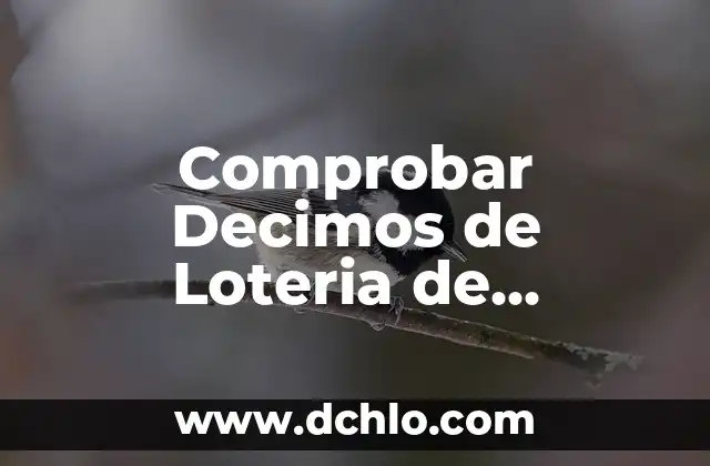Comprobador del Sorteo de la Once: Verifica Tus Números de Lotería 4 Comprobar Decimos de Loteria de Navidad: ¡Verifica tus Premios Ahora!