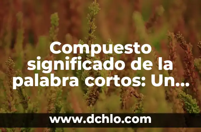 Breve significado de adultos mayores 5 Compuesto significado de la palabra cortos: Un análisis detallado