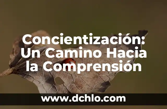 Especialización - El Camino Hacia la Excelencia en un Campo Específico 4 Concientización: Un Camino Hacia la Comprensión
