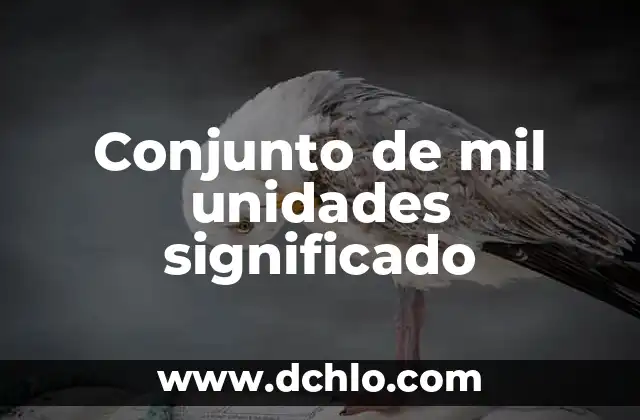 Mil significados de las extensiones de dominio 5 Conjunto de mil unidades significado