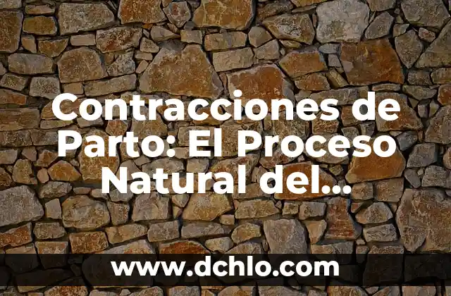 El Significado de la Canalización en Trabajo Social 7 Contracciones de Parto: El Proceso Natural del Trabajo de Parto