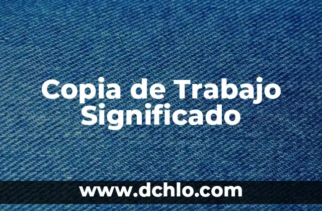 El Significado de la Canalización en Trabajo Social 6 Copia de Trabajo Significado