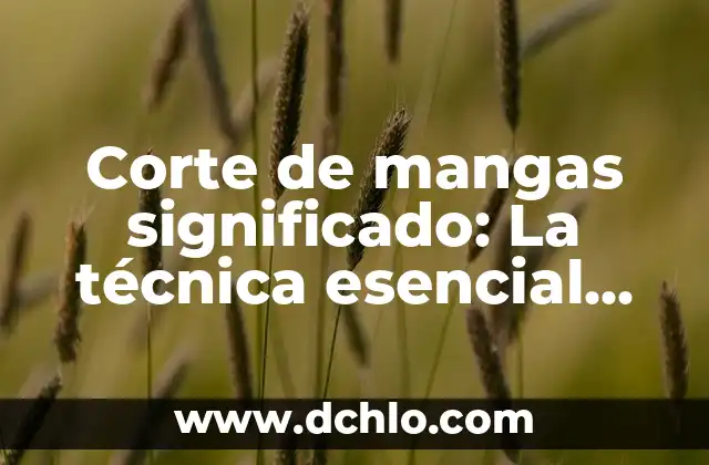 Acerar: El proceso esencial para endurecer metales 8 Corte de mangas significado: La técnica esencial en la confección
