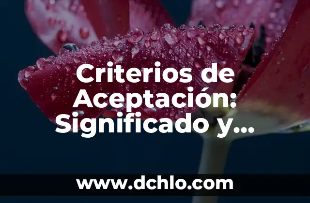 El Vestido Regional de Veracruz y su Significado Cultural 8 Criterios de Aceptación: Significado y Aplicación Práctica
